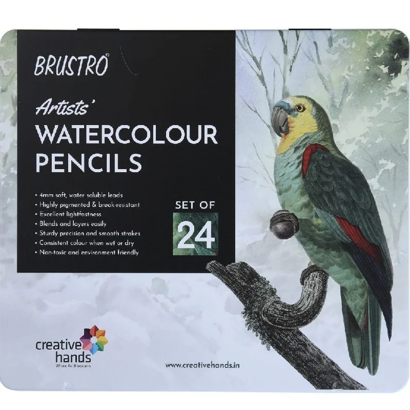 Brustro Artists’ Water Soluble Pencil