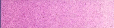 E31 Cobalt Violet Light