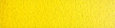 C14 Schevenigen Yellow Medium