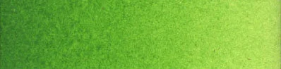 B289 Permanent Green