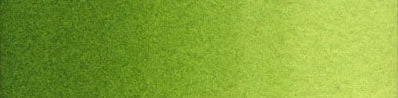 B292 Sap Green Lake Extra