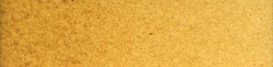A55 Gold Ochre