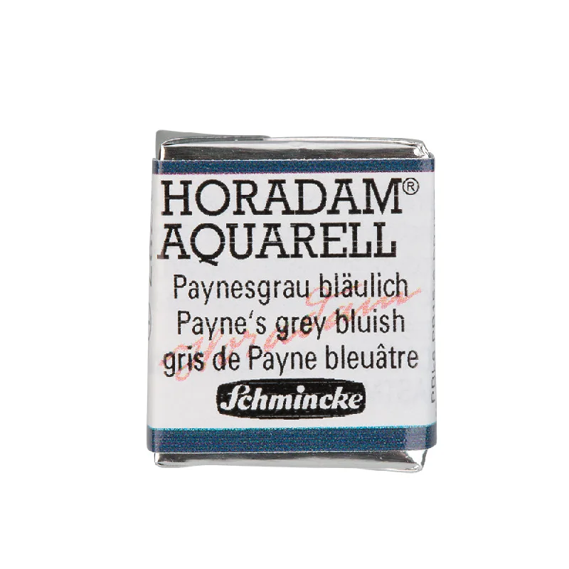 787 Payne's Grey Bluish (S1)
