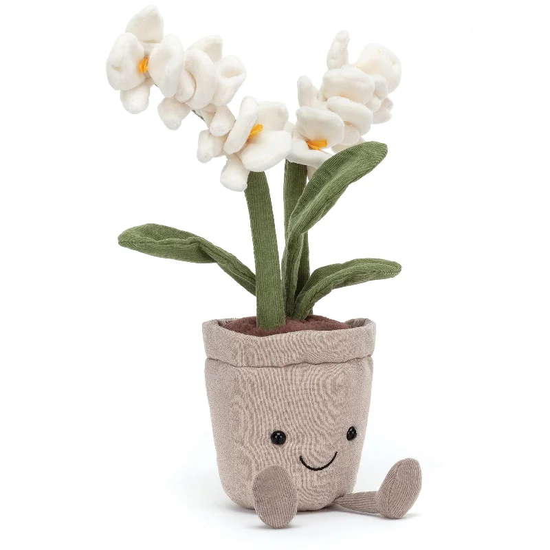 Amuseable Cream Orchid
