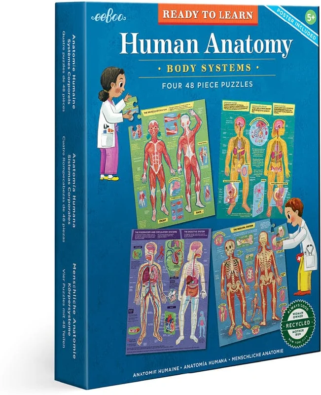 Eeboo Human Anatomy Body Systems - Four 48 Piece Puzzles