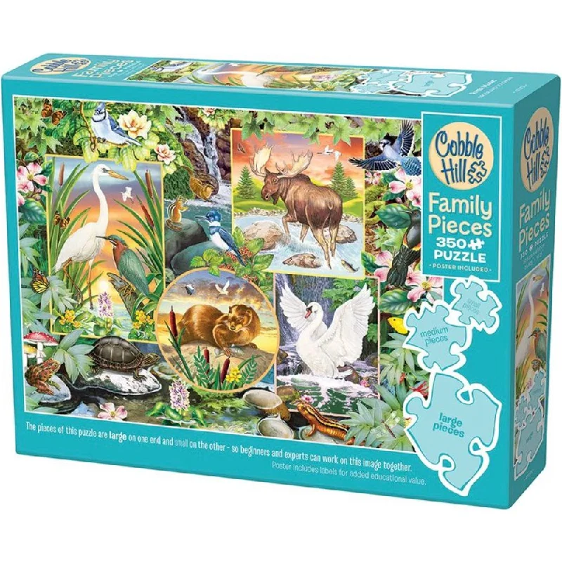 River Magic Family 350 pcs